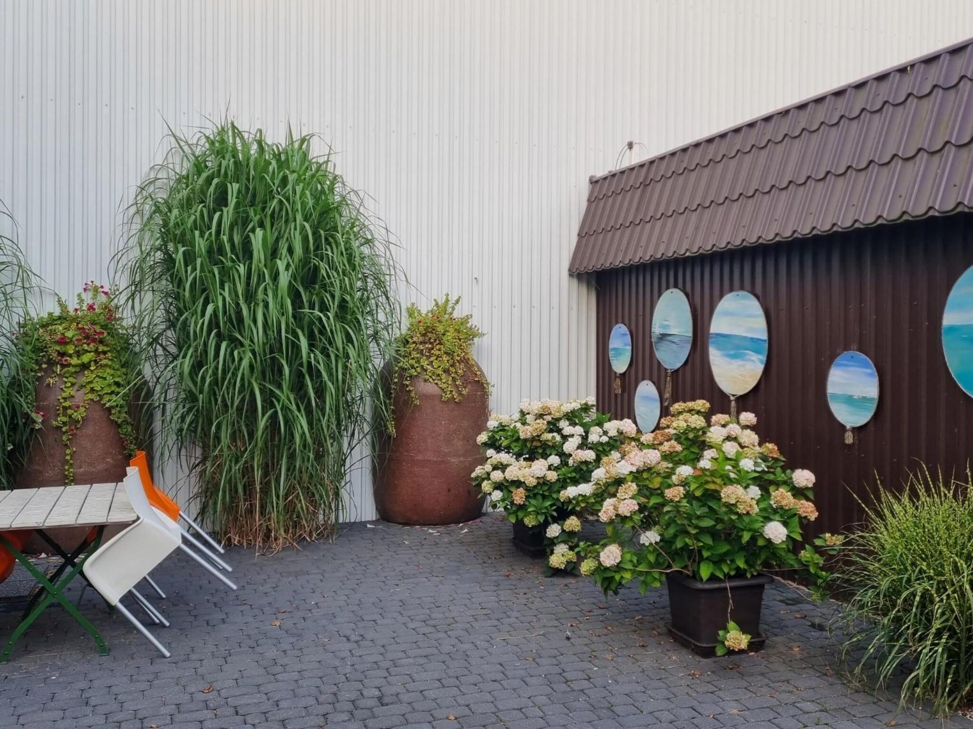 Comfortable Holiday Homes Close To Sea, Grzybowo Grzybowo  Extérieur photo